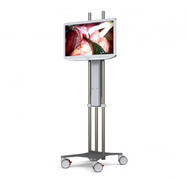 Flexx monitor trolley