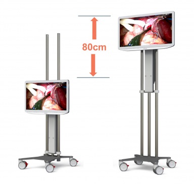 Flexx Monitor Stand - large height range